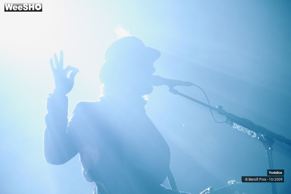15/20 photos du spectacle Yodelice