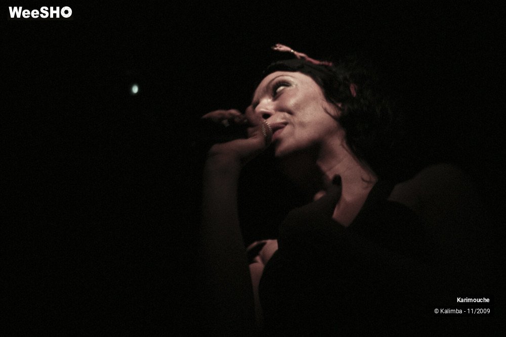 35/47 photos du spectacle Karimouche