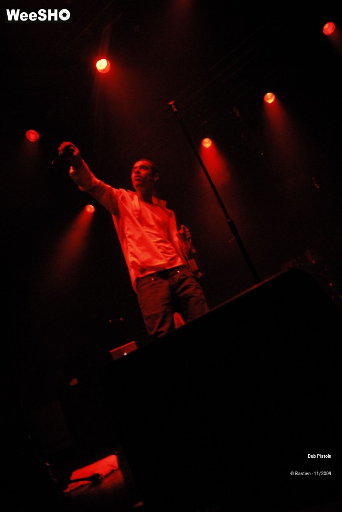 15/29 photos du spectacle Dub pistols