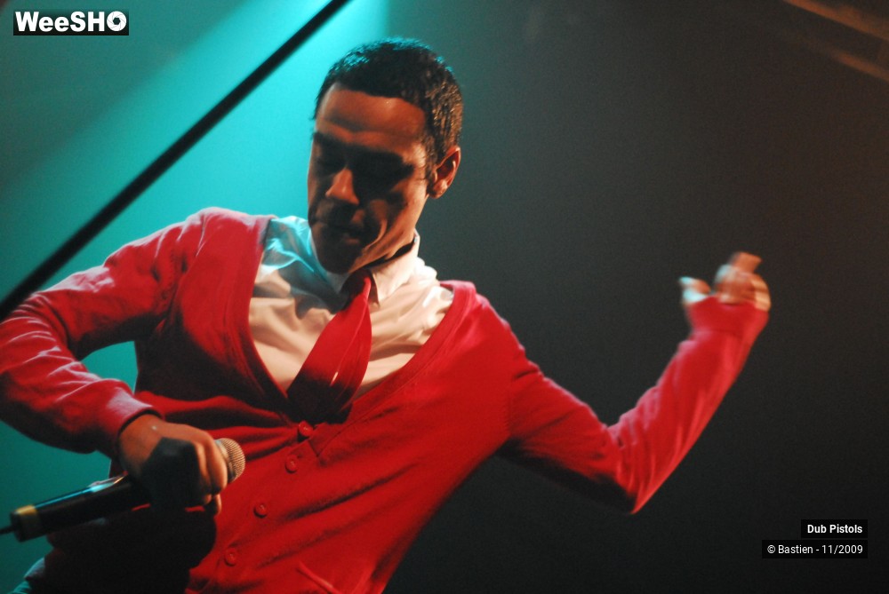 24/29 photos du spectacle Dub pistols
