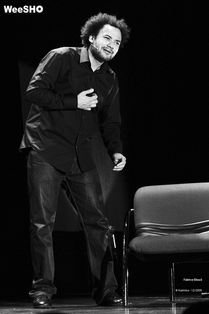 8/44 photos du spectacle Fabrice Eboué