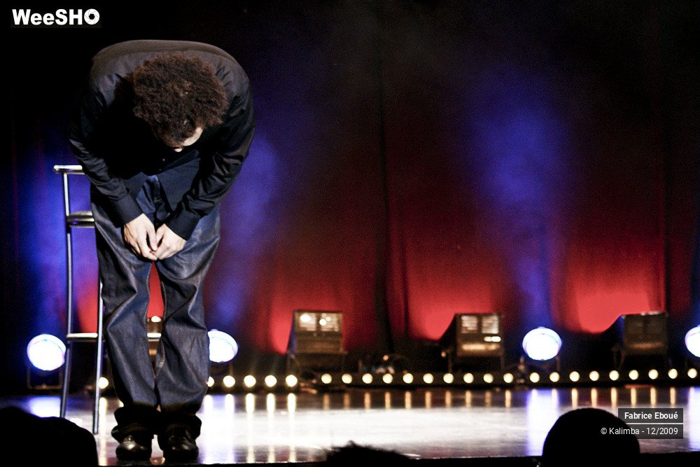 21/44 photos du spectacle Fabrice Eboué