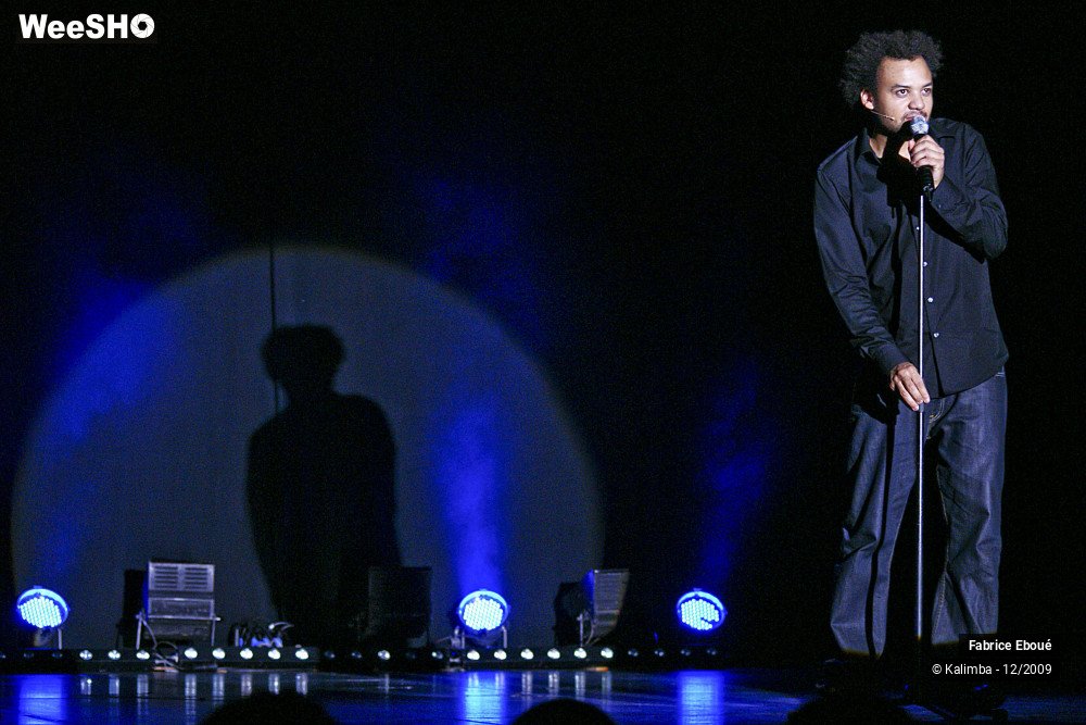 22/44 photos du spectacle Fabrice Eboué