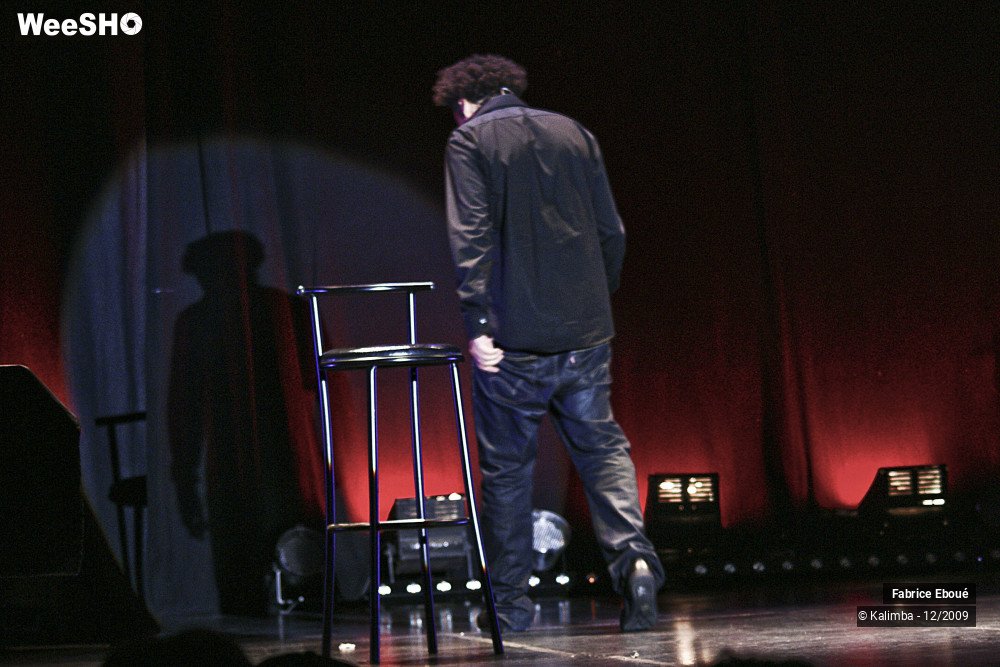24/44 photos du spectacle Fabrice Eboué