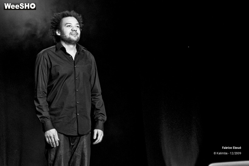 33/44 photos du spectacle Fabrice Eboué