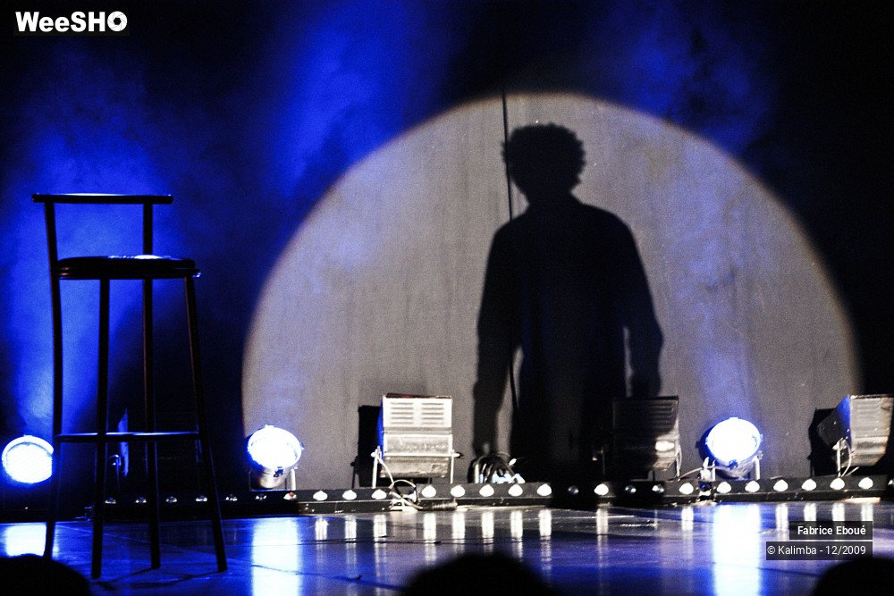 34/44 photos du spectacle Fabrice Eboué