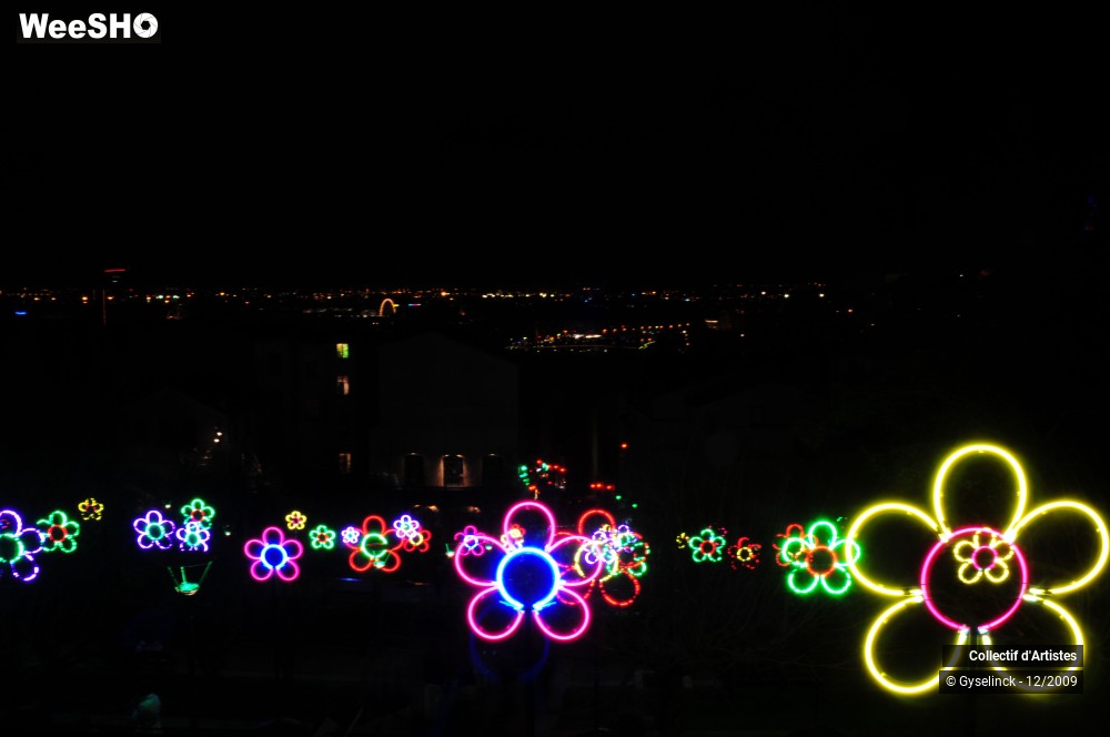 8/32 photos du spectacle Fête des Lumières 1