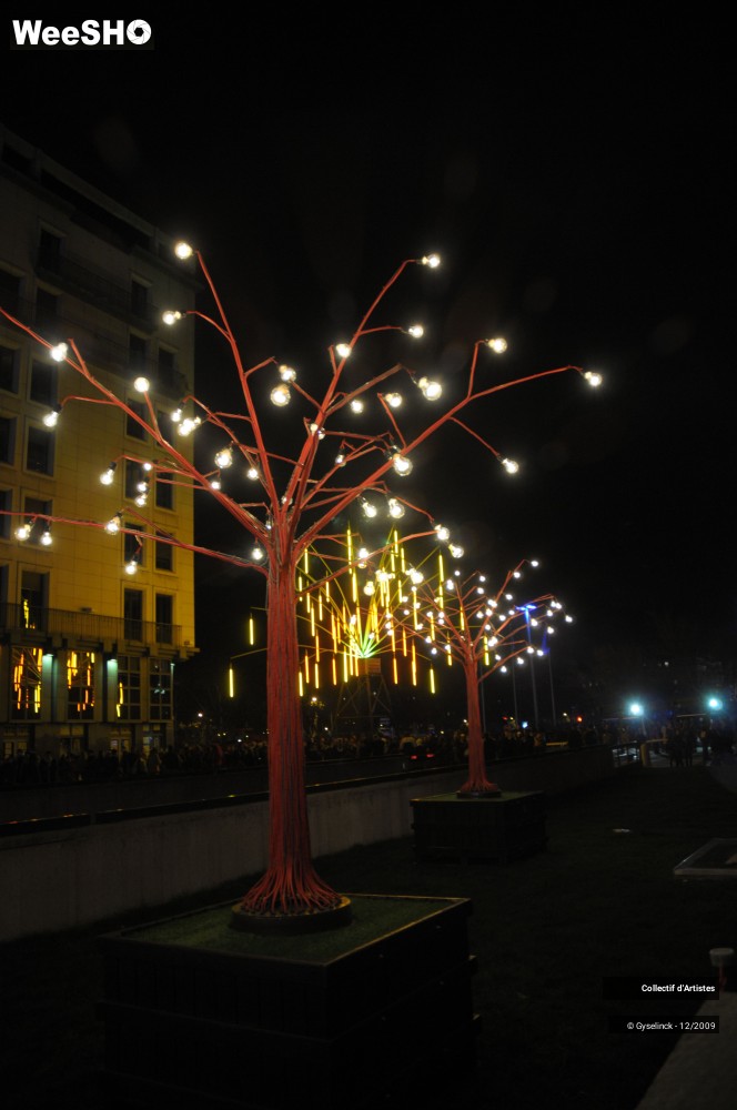 21/32 photos du spectacle Fête des Lumières 1