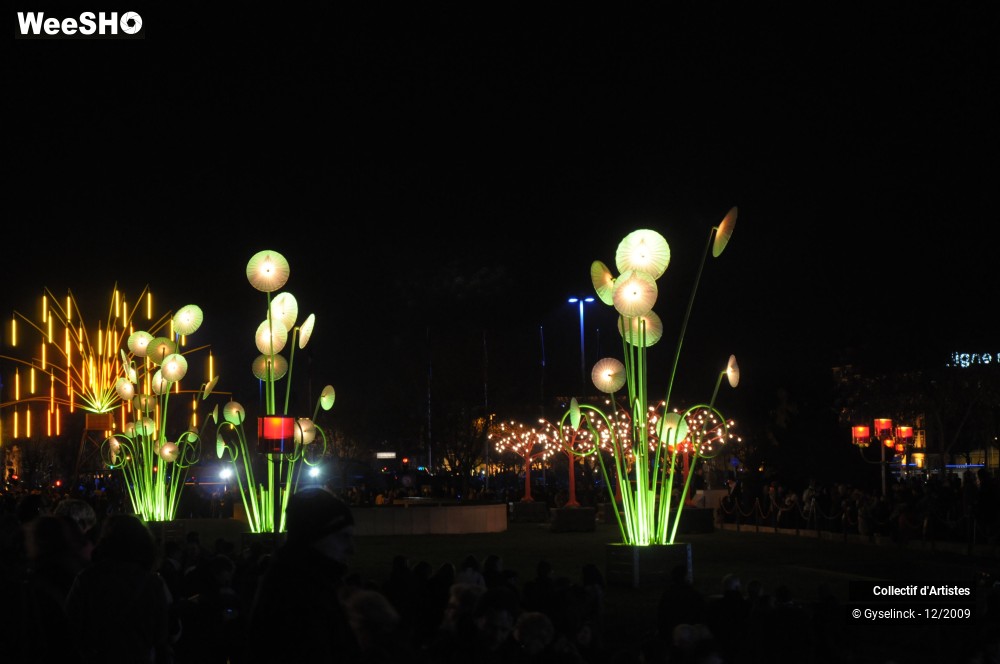 29/32 photos du spectacle Fête des Lumières 1