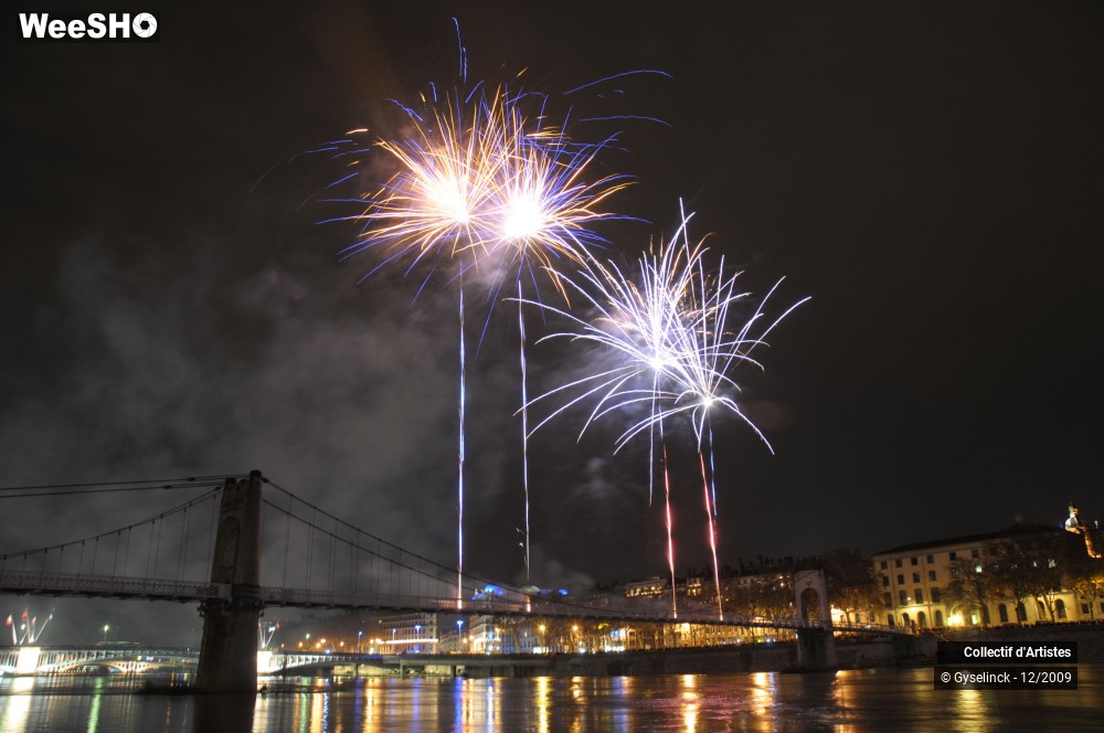 2/36 photos du spectacle Fête des Lumières 2