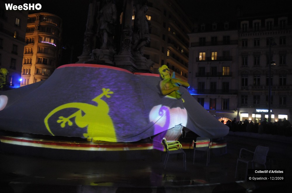 5/36 photos du spectacle Fête des Lumières 2
