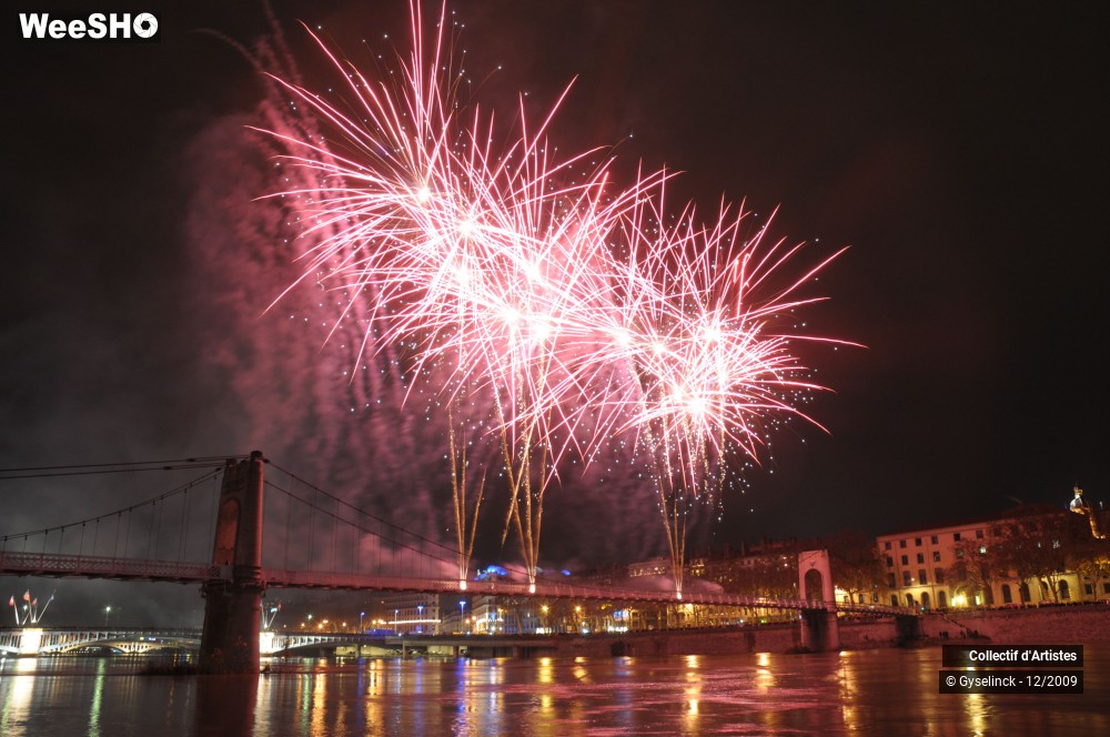 12/36 photos du spectacle Fête des Lumières 2