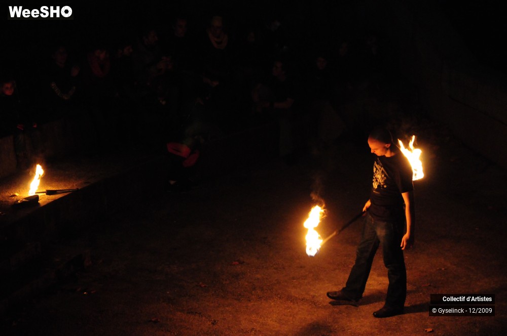 15/36 photos du spectacle Fête des Lumières 2