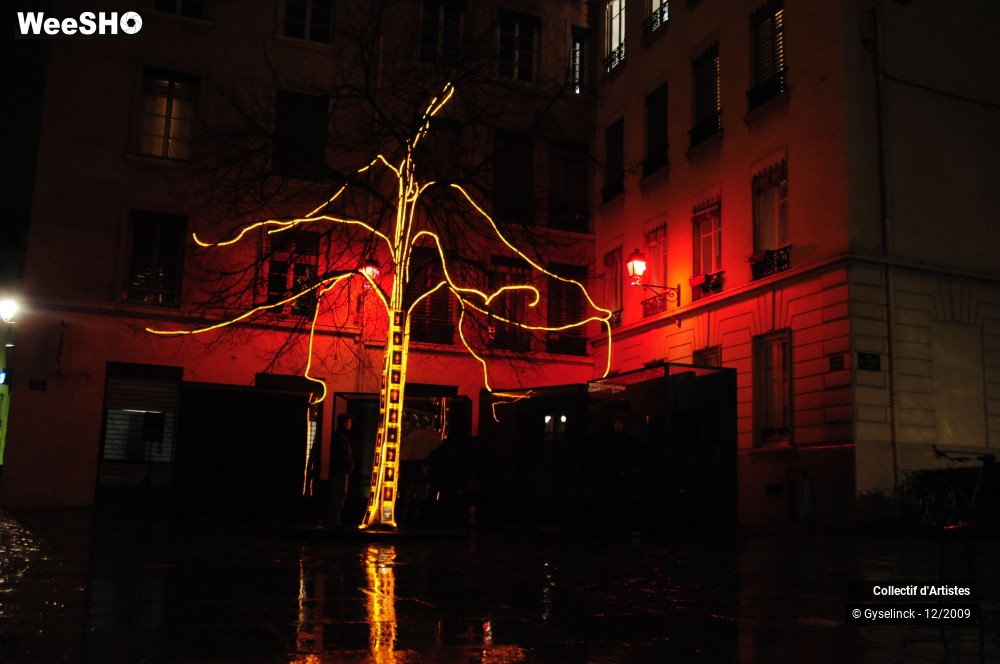 26/36 photos du spectacle Fête des Lumières 2