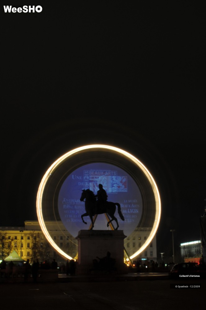 28/36 photos du spectacle Fête des Lumières 2