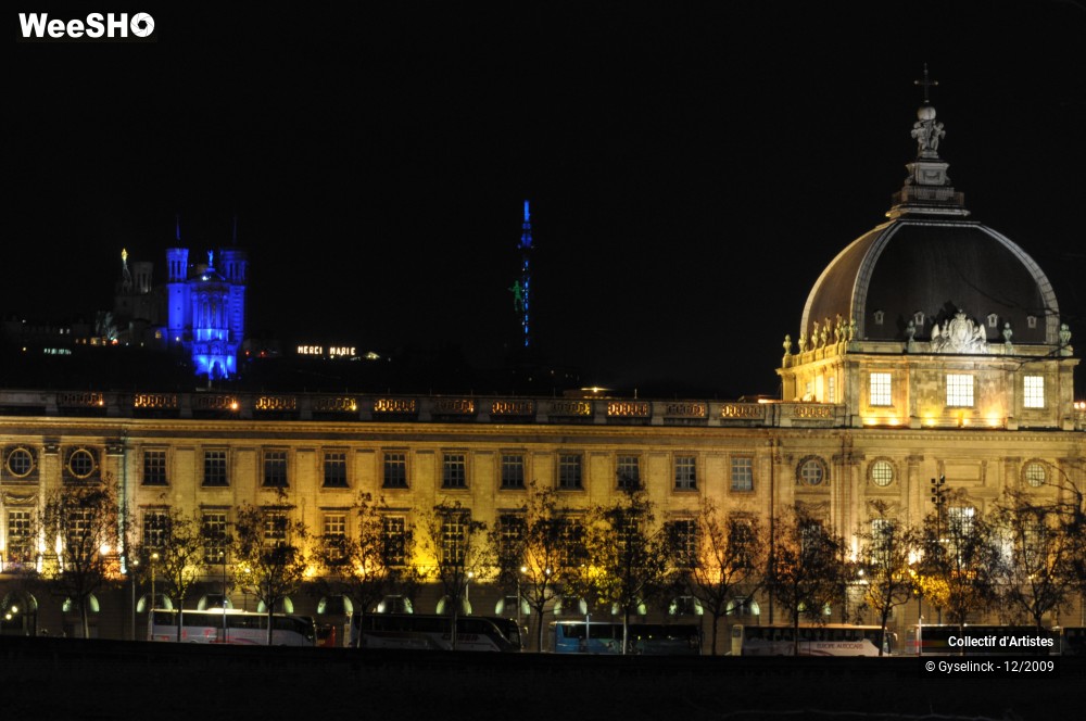 35/36 photos du spectacle Fête des Lumières 2