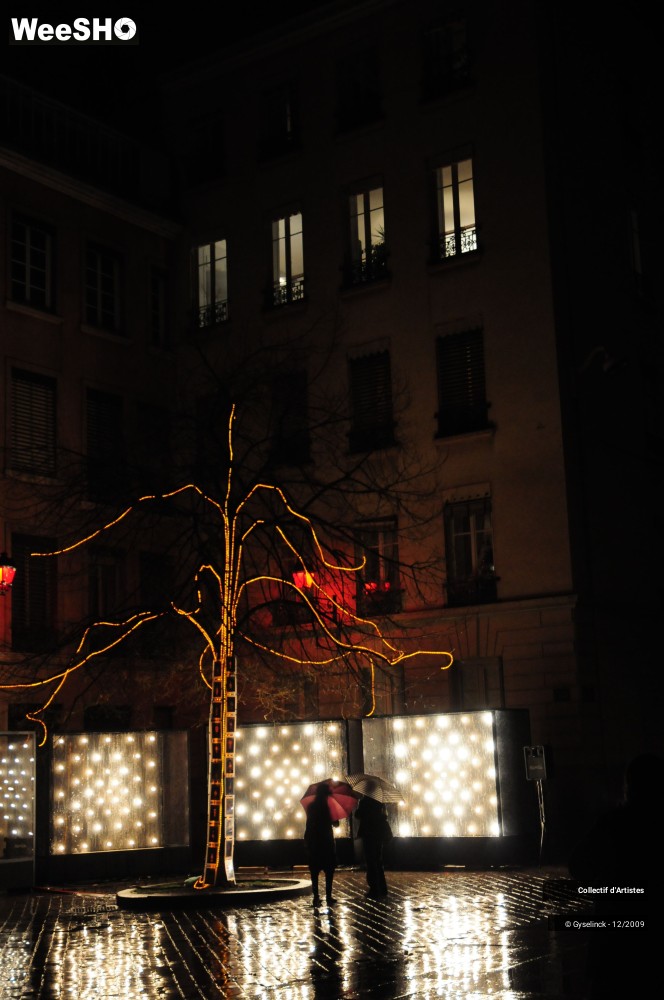36/36 photos du spectacle Fête des Lumières 2