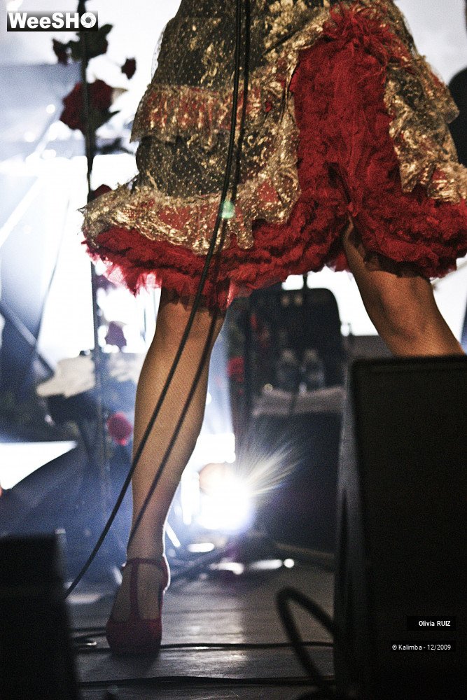 2/49 photos du spectacle Olivia RUIZ 2