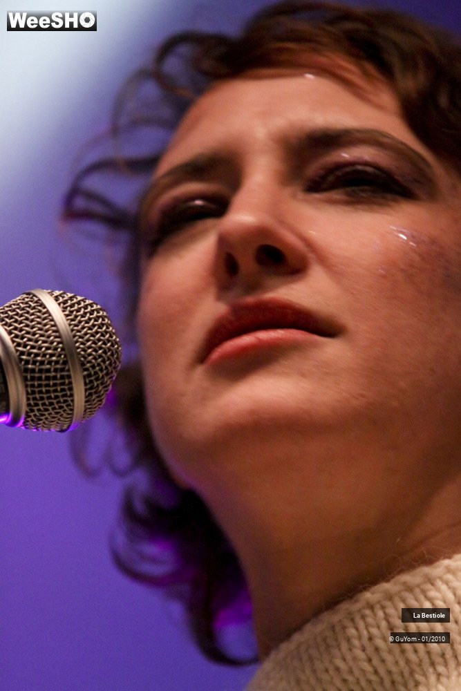 11/40 photos du spectacle La Bestiole