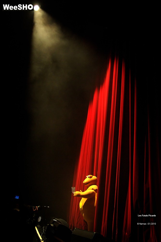8/50 photos du spectacle Les Fatals Picards
