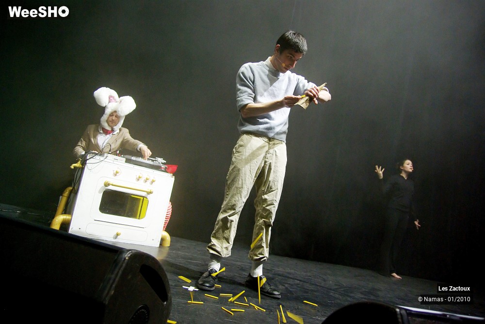 25/32 photos du spectacle Les Zactoux