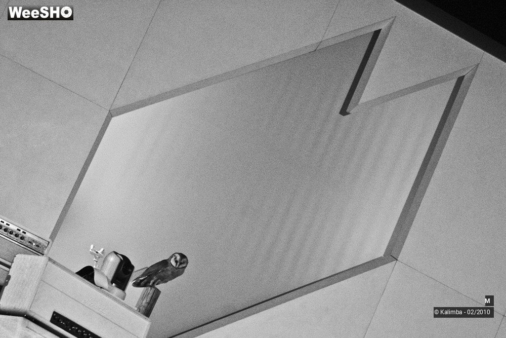 26/33 photos du spectacle M