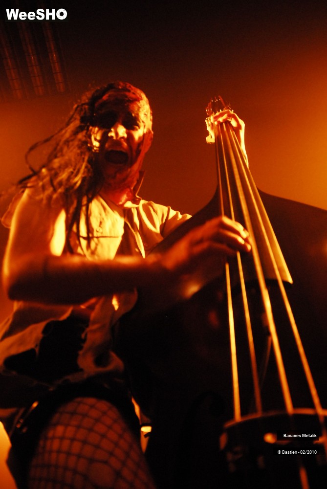 9/38 photos du spectacle Bananes metalik