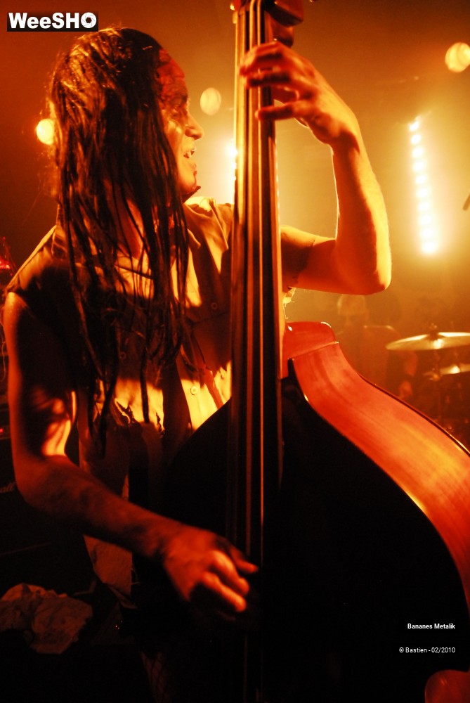 18/38 photos du spectacle Bananes metalik