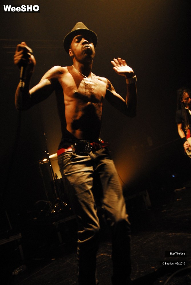 8/47 photos du spectacle Skip The Use