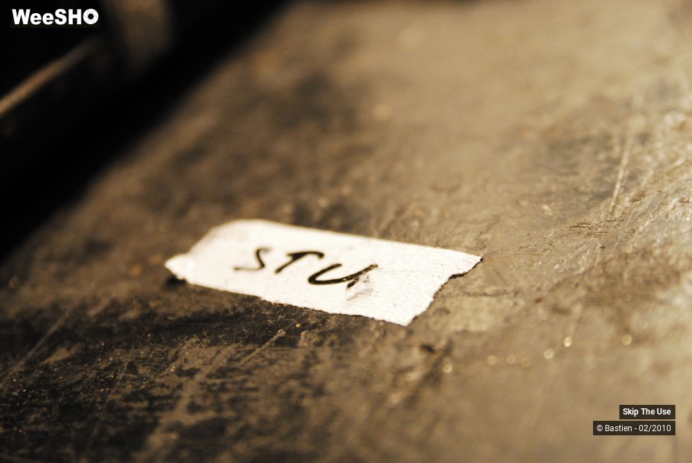 37/47 photos du spectacle Skip The Use