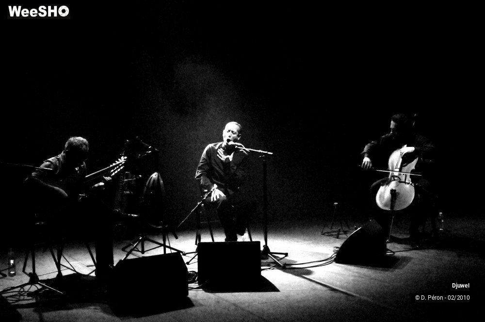 19/26 photos du spectacle Djuwel