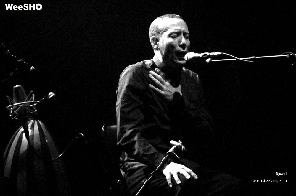 25/26 photos du spectacle Djuwel