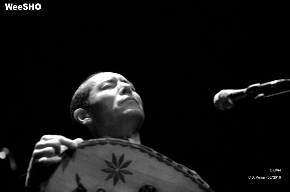 26/26 photos du spectacle Djuwel