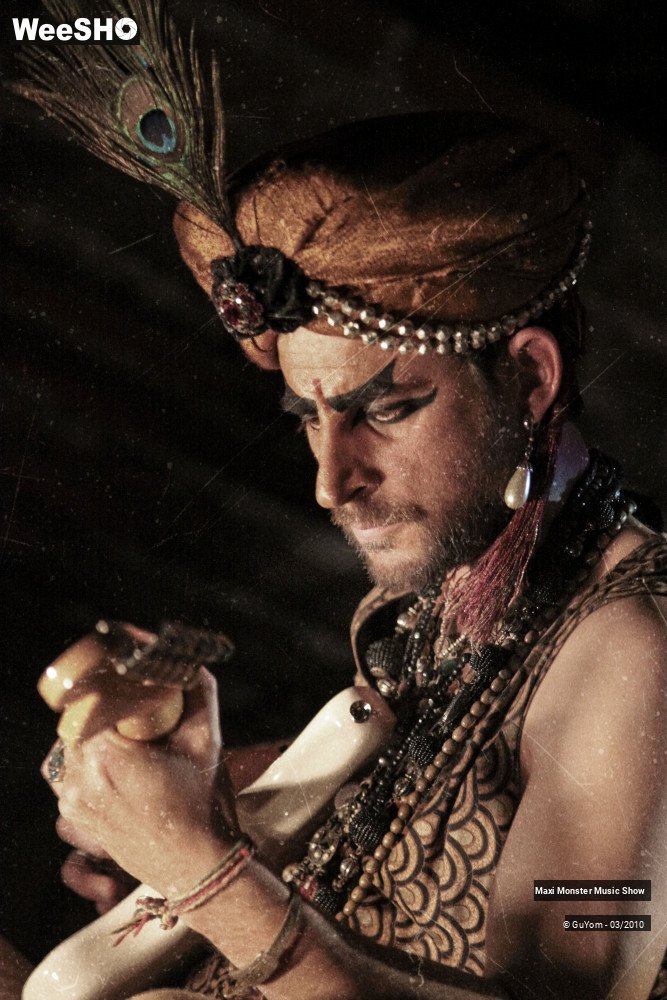 2/50 photos du spectacle Galerie de Monstres