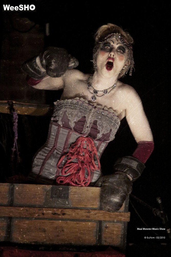 9/50 photos du spectacle Galerie de Monstres