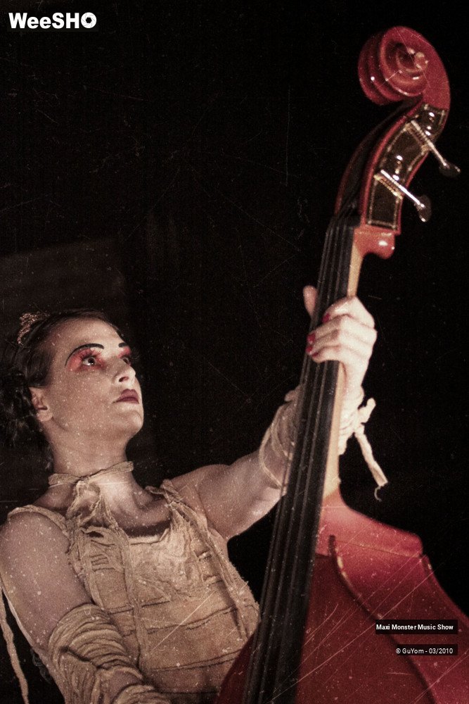 12/50 photos du spectacle Galerie de Monstres