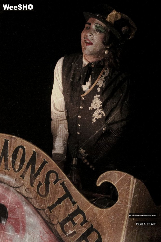 15/50 photos du spectacle Galerie de Monstres