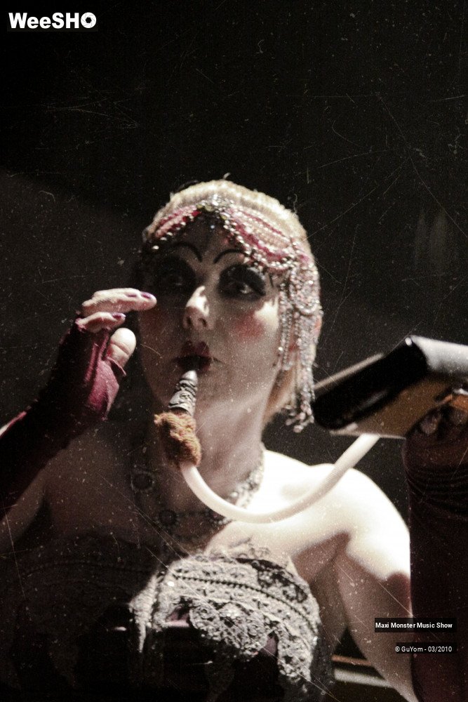 17/50 photos du spectacle Galerie de Monstres