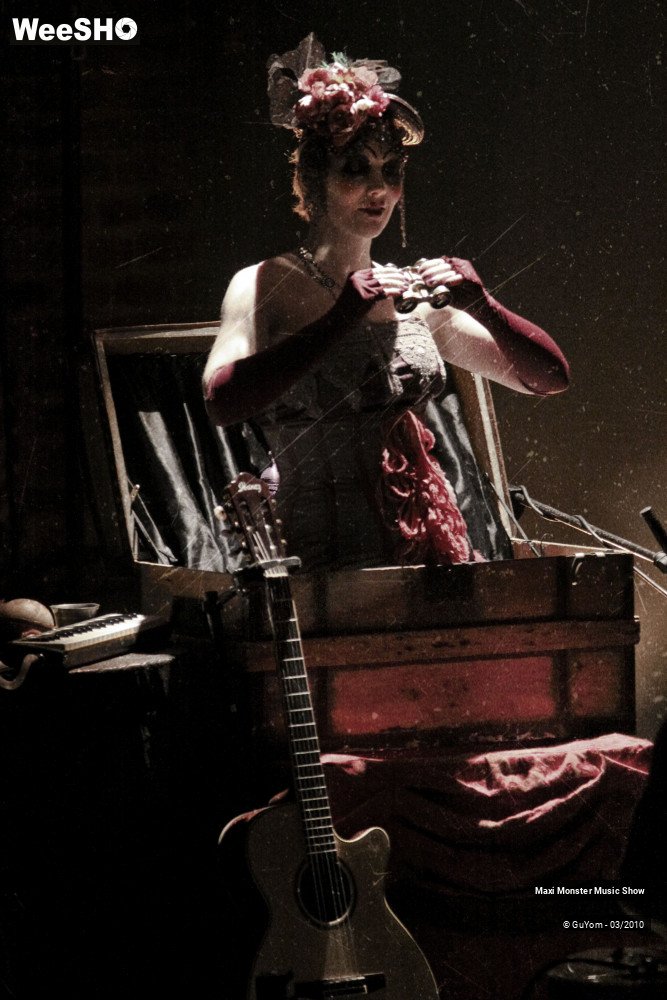 18/50 photos du spectacle Galerie de Monstres