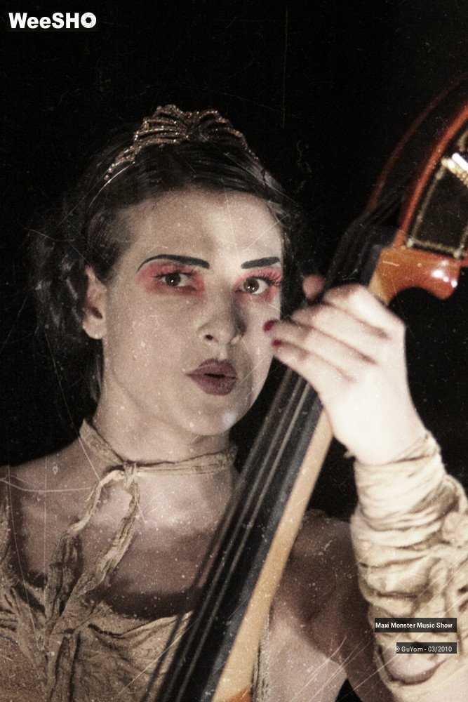 19/50 photos du spectacle Galerie de Monstres