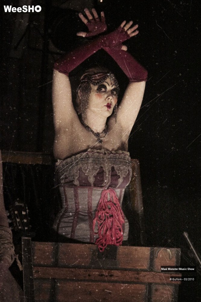 22/50 photos du spectacle Galerie de Monstres