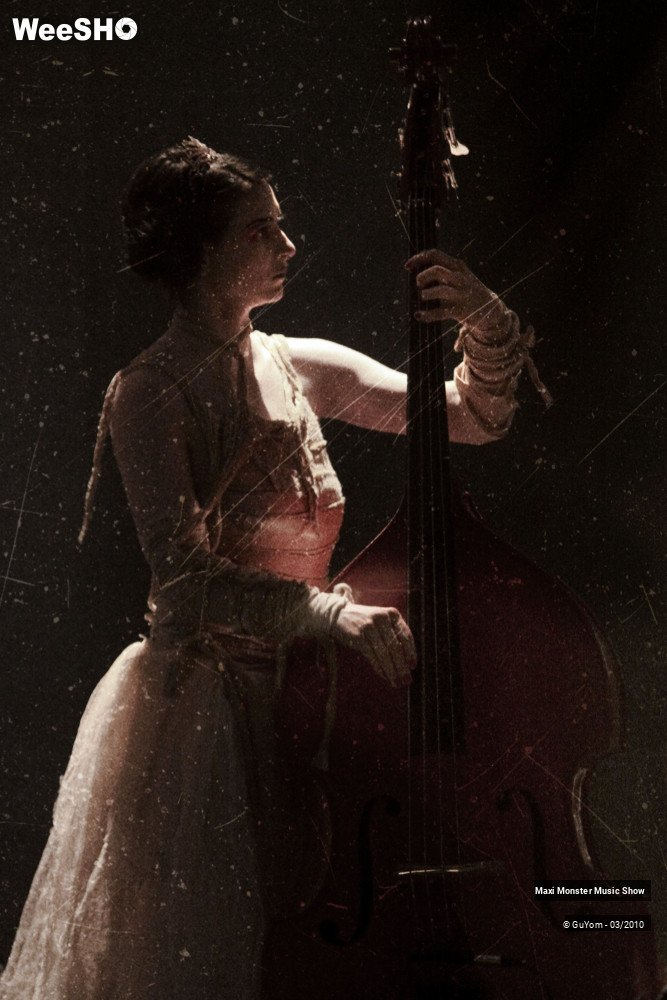 24/50 photos du spectacle Galerie de Monstres