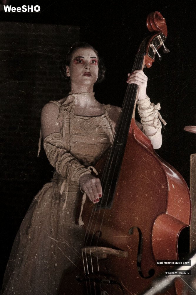 26/50 photos du spectacle Galerie de Monstres