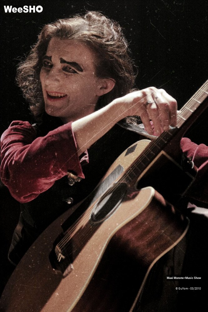 30/50 photos du spectacle Galerie de Monstres