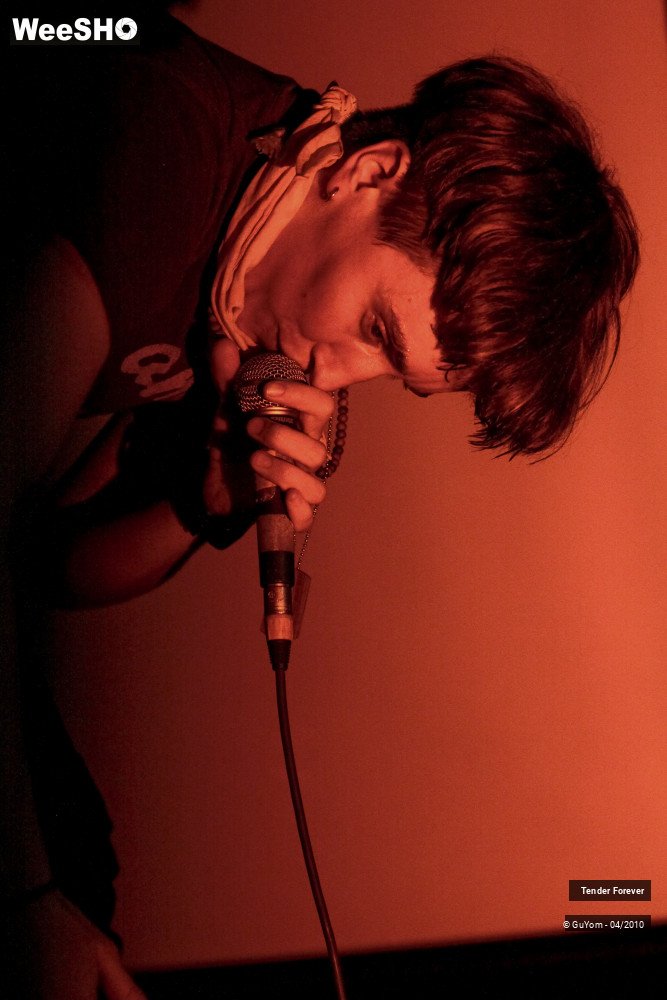 8/46 photos du spectacle Tender Forever
