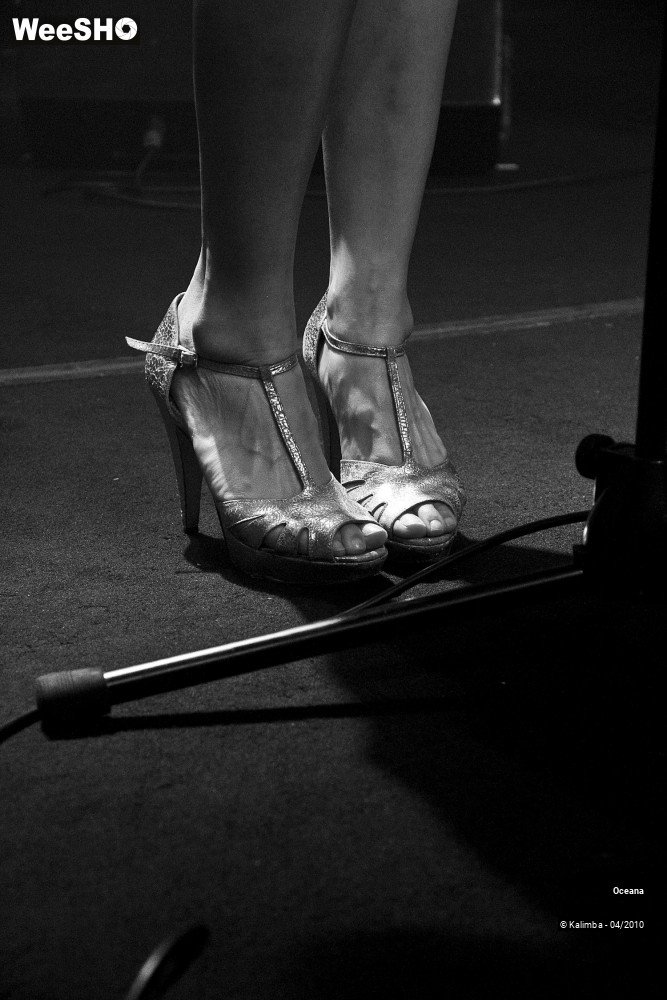 5/27 photos du spectacle Oceana