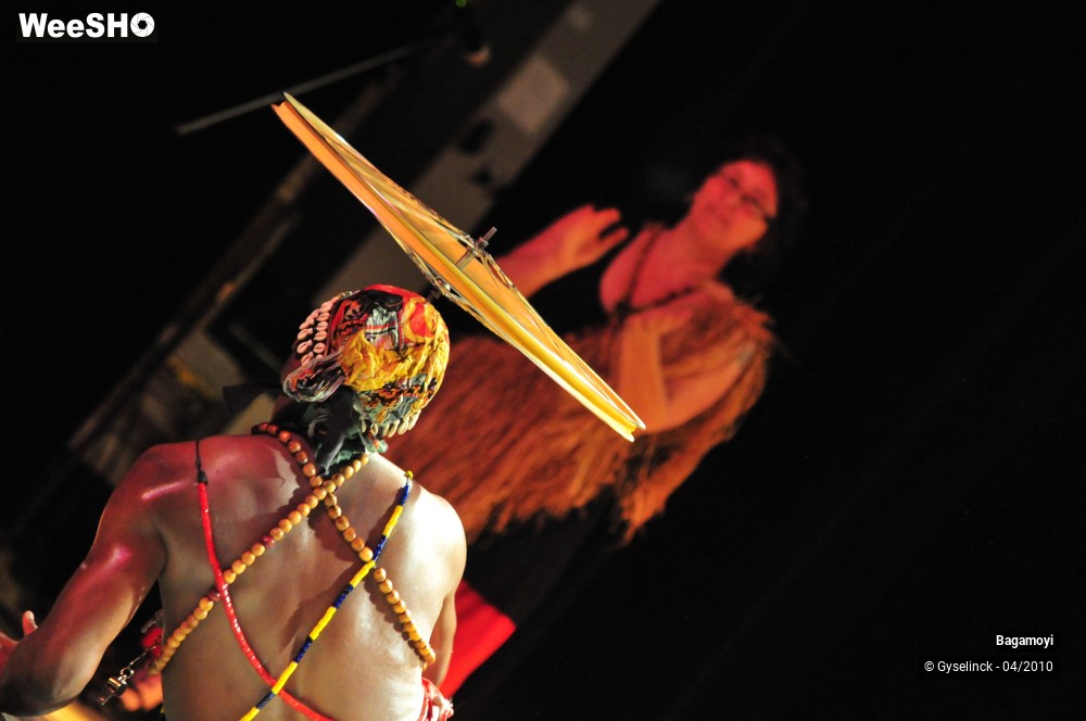 1/43 photos du spectacle Soirée Acte Africa