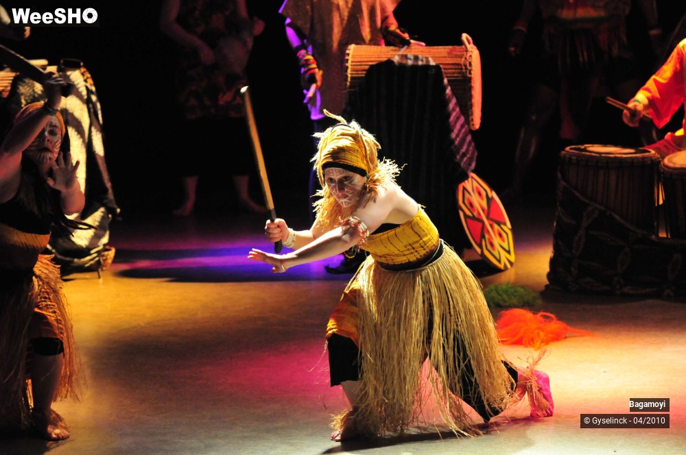 3/43 photos du spectacle Soirée Acte Africa