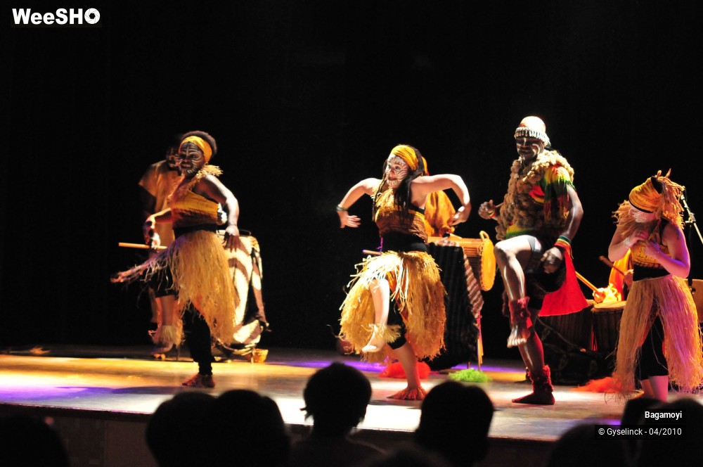 8/43 photos du spectacle Soirée Acte Africa