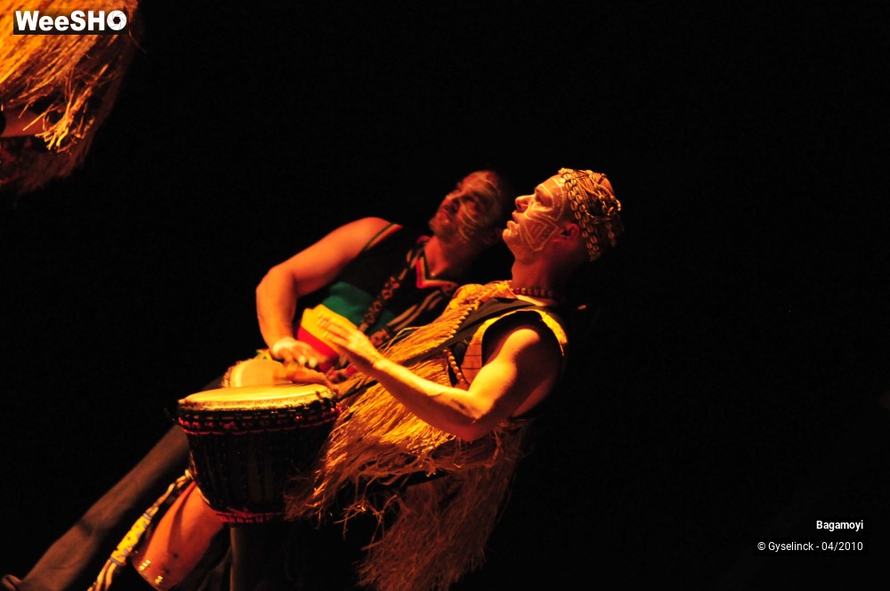 11/43 photos du spectacle Soirée Acte Africa